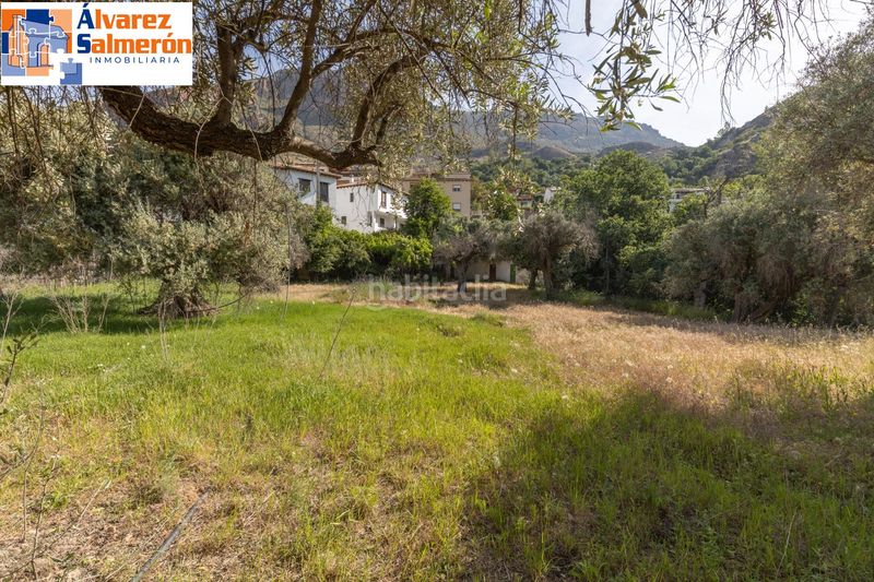 Foto b3dc0852-3883-4f9e-8eb3-169d0fbb8868. Terreny residencial a Güéjar Sierra