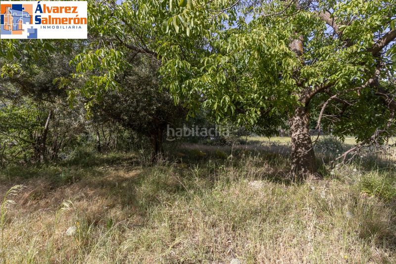 Foto c4fc8d26-dc5c-4c7e-b529-dd88fbb7dc27. Terreny residencial a Güéjar Sierra