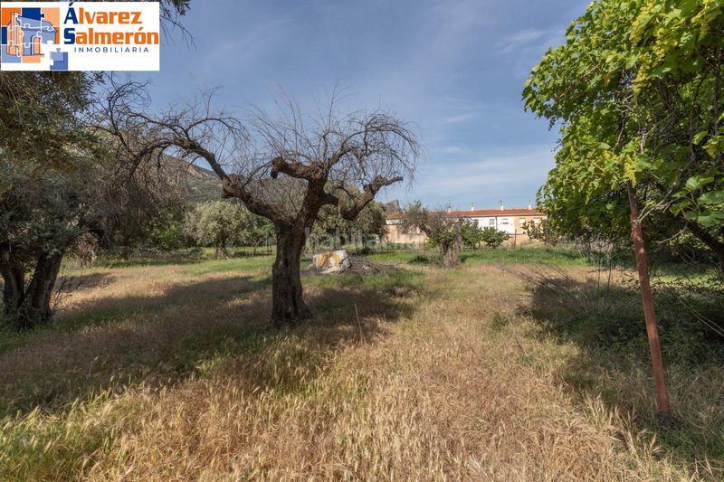 Foto e687f6af-c785-4616-bf26-6613db50abd9. Terreny residencial a Güéjar Sierra