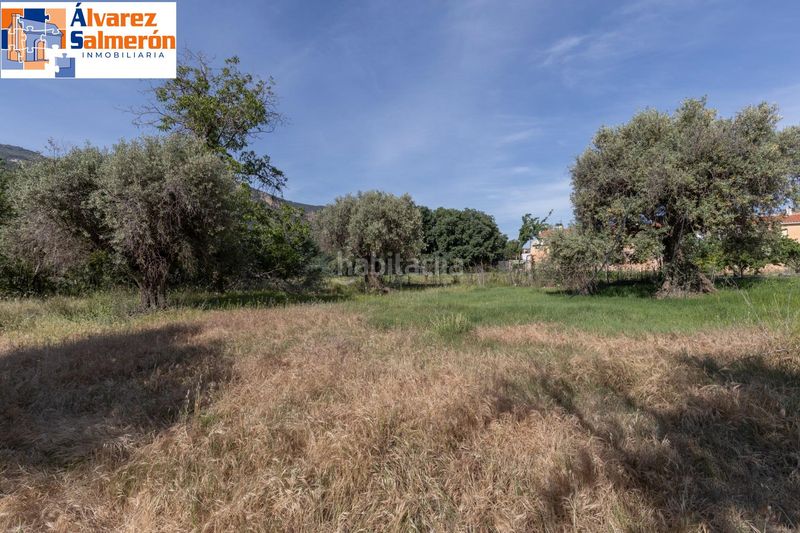 Foto fc41d298-6fdf-472a-bc58-69f6ffdefeca. Terreny residencial a Güéjar Sierra