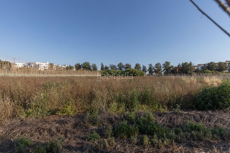 Foto b1e85837-3449-4b78-bf0c-700241c1d6b7. Terreny residencial a Playa de Granada Motril