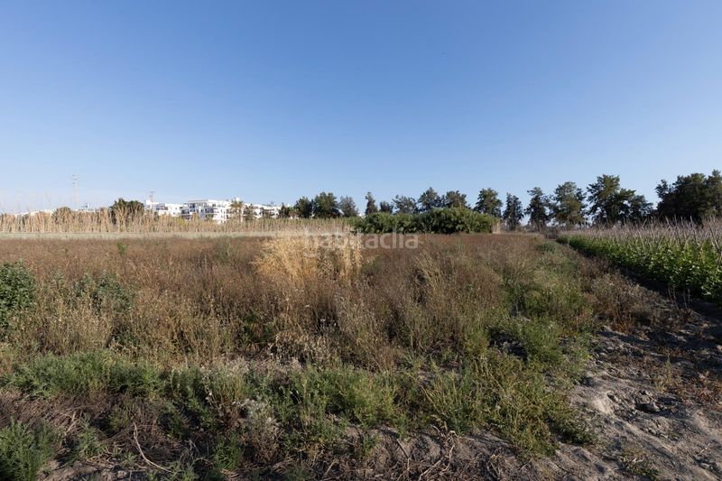 Foto ba1651cc-15f0-4b3e-9370-ec9dd69c153b. Terreny residencial a Playa de Granada Motril