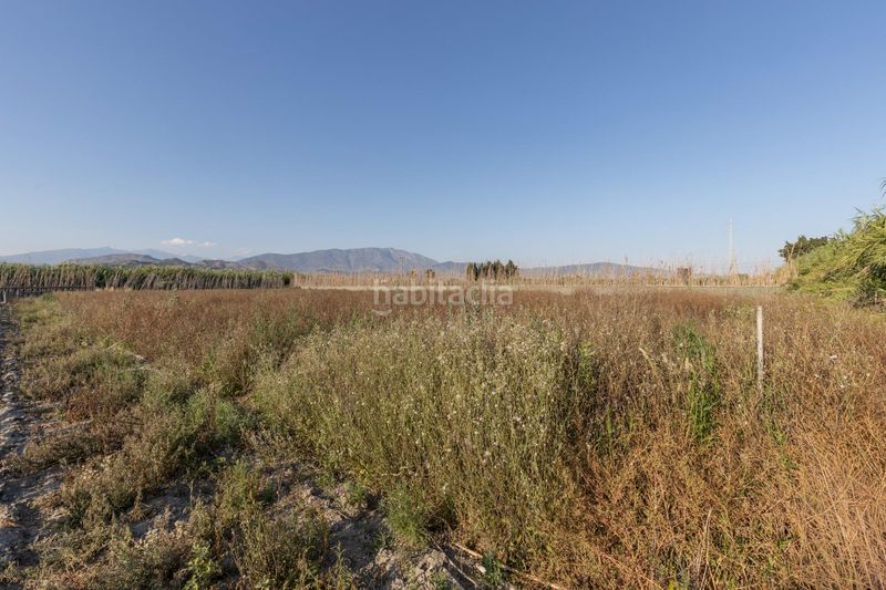Foto fa7a0db9-dadb-40e6-a34f-ed3e51752acc. Terreny residencial a Playa de Granada Motril