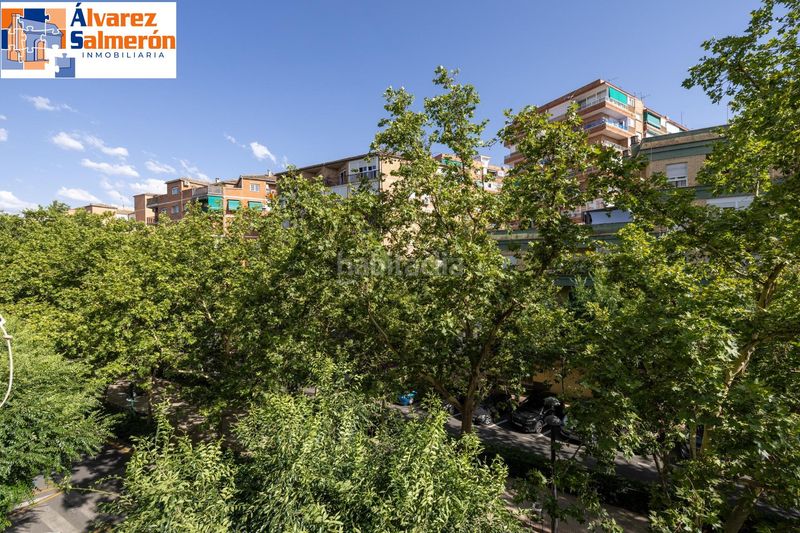 Foto 308cfc28-9a72-43b0-81a9-6e69e640fb2f. Pis a Barrio de Zaidín Granada