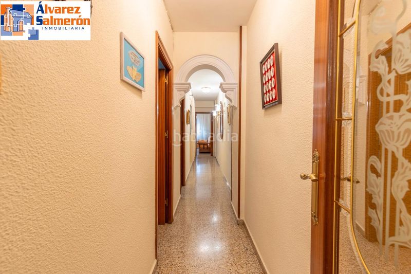Foto a8035200-5e76-4f62-92af-38b2226f5352. Pis a Pajaritos Granada
