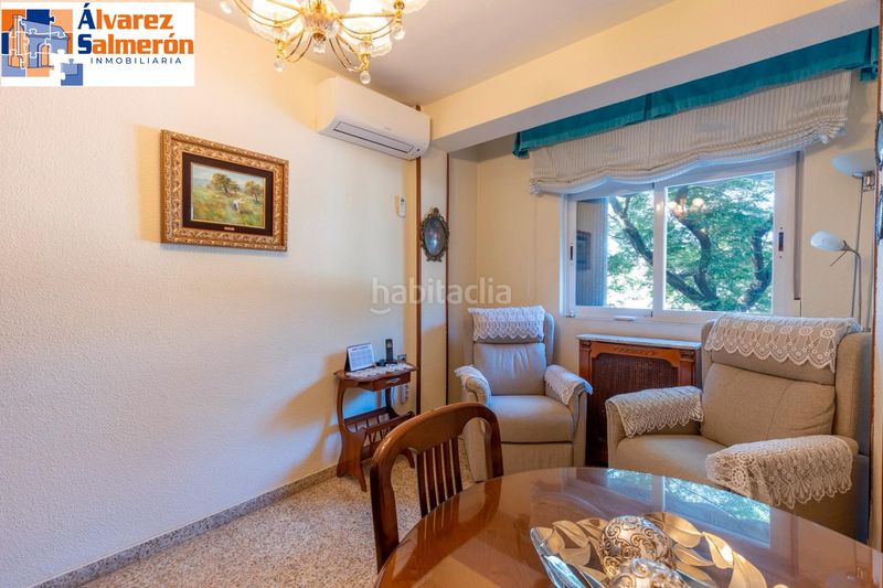 Foto e0d651e8-f0e8-4139-9183-7d280754cf66. Pis a Pajaritos Granada