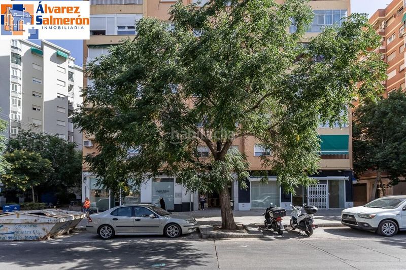 Foto 27db5df2-2121-4e15-b264-2bb2abd310b7. Pis a Barrio de Zaidín Granada