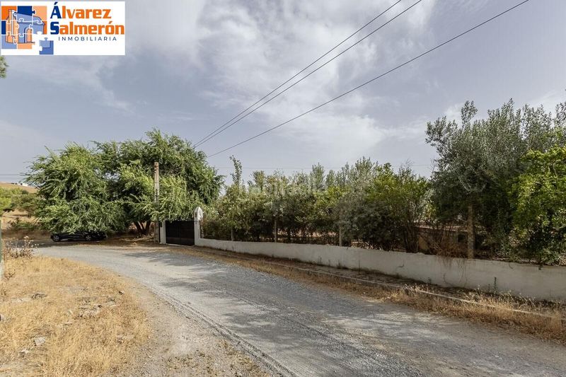 Foto 00bed1d3-303e-4e12-943f-f6444fb5cf2a. Xalet amb aparcament piscina a Aljomahima - Ermita Gabias (Las)