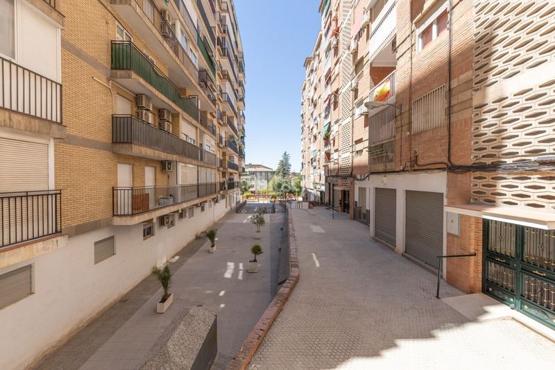 Foto 1b744853-9d0a-4f5e-a7ca-2ef8c2abc581. Pis a Cervantes Granada