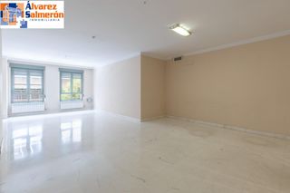 Flat in Calle PEDRO ANTONIO DE ALARCON