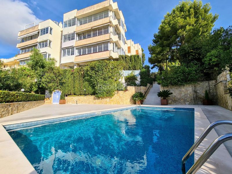 Foto f5d7fce0-f3e0-4084-b2fa-db5f981beb57. Piccolo appartamento con piscina in Cas Català-Illetes Calvià