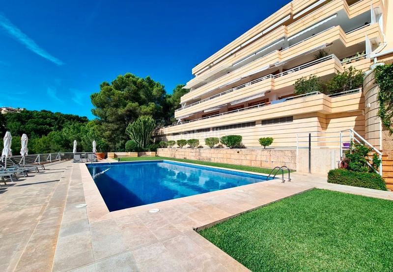 Foto 18e34a91-f66e-473c-ad94-0d1f1fde4aaf. Piccolo appartamento con riscaldamento piscina in Calvià