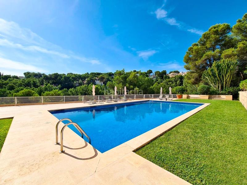 Foto f413720e-731d-4cce-b139-a84cd036a087. Piccolo appartamento con riscaldamento piscina in Calvià