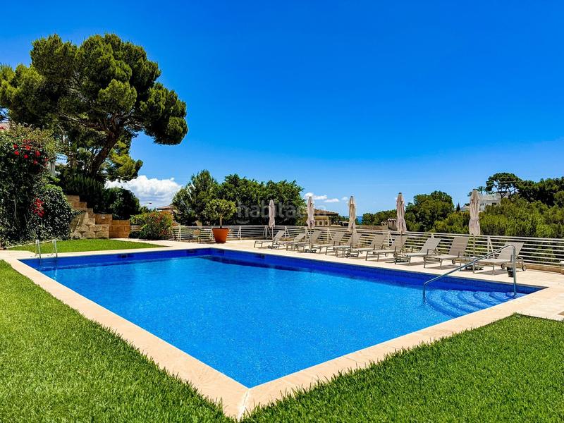 Foto 40d2b5ca-d90a-4fe8-a4a5-96a4630798c1. Piccolo appartamento con piscina in Cas Català-Illetes Calvià