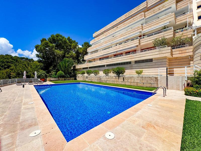 Foto b5923e29-135c-4377-ab84-a5f3b134332f. Piccolo appartamento con piscina in Cas Català-Illetes Calvià