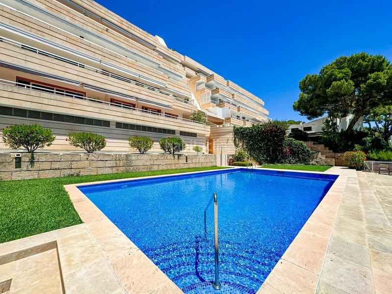 Foto e46b25df-8c88-4f2b-9554-6b9903d9e113. Piccolo appartamento con piscina in Cas Català-Illetes Calvià