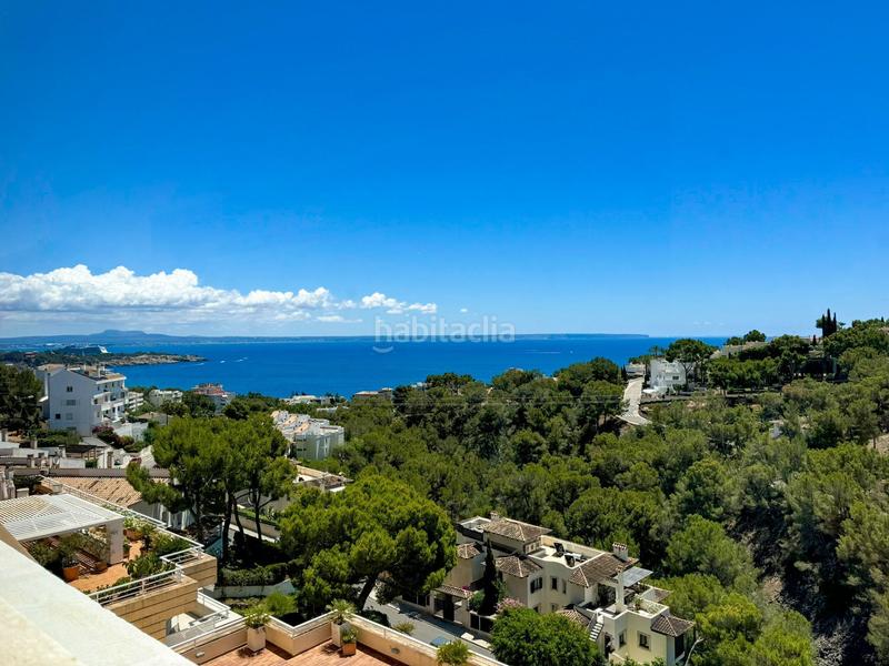 Foto e56f6c3c-a3fd-4183-b261-7033e27ac3a3. Piccolo appartamento con piscina in Cas Català-Illetes Calvià