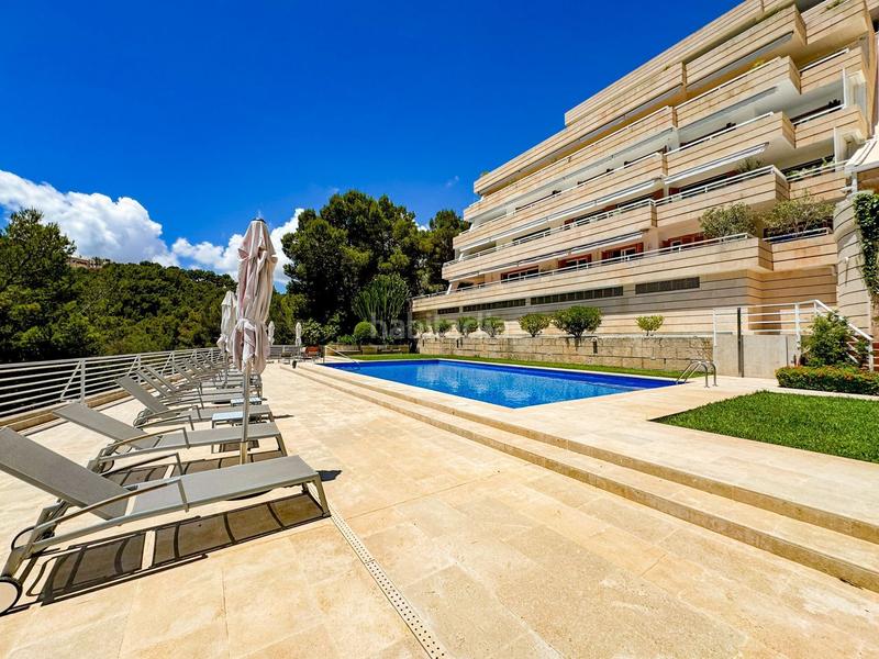 Foto f40ac3fc-cfc0-4105-877c-cd909d8a7a37. Piccolo appartamento con piscina in Cas Català-Illetes Calvià