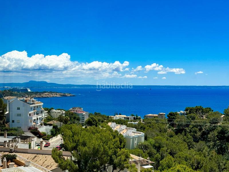 Foto fa613a0b-eb24-47c4-8b44-ca12584b0545. Piccolo appartamento con piscina in Cas Català-Illetes Calvià