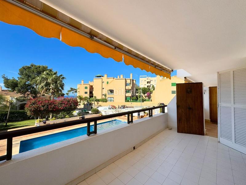 Foto 21fc64a5-e87a-4626-99ab-0f936828f0b0. Appartement mit pool in Es Camp de Mar Andratx