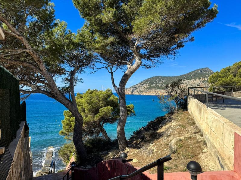 Foto adc34d21-ddbc-4394-b01f-bb770d28a58b. Appartement mit pool in Es Camp de Mar Andratx