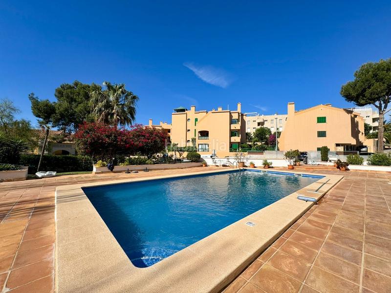 Foto e2675731-02b1-476f-9ad9-42c85df67ee4. Appartement mit pool in Es Camp de Mar Andratx