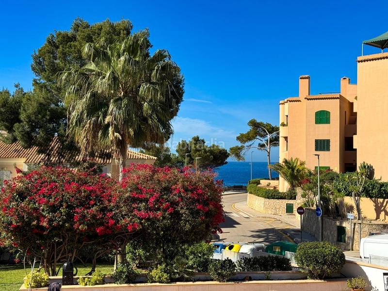 Foto e78dc536-7ded-4574-84d4-369fbc56a1ce. Appartement mit pool in Es Camp de Mar Andratx