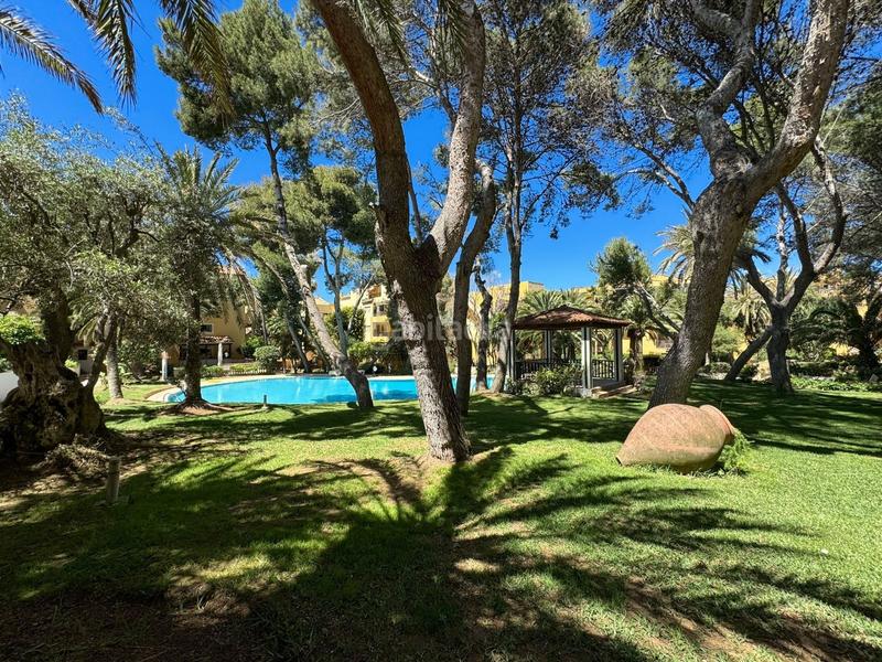 Foto 59496162-d751-4db9-94dd-85cec88d070d. Apartament amb piscina a Santa Ponça Calvià