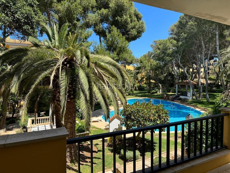 Foto c812fd0e-383c-4002-be84-2d366e21eaf5. Apartament amb piscina a Santa Ponça Calvià