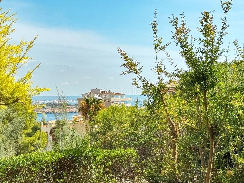 Foto 3fe06b7a-215e-45c5-a456-3af865c1494e. Apartamento magnífica planta baja con gran terraza con vistas parciales al mar y espectacular jardín privado en exclusivo complejo de bendinat en Calvià