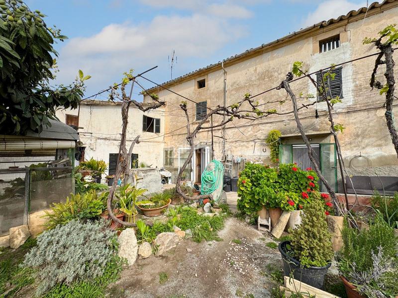 Foto 2aefa1da-2f17-438d-a4f6-d407e3624826. Casa in Calvià poble Calvià