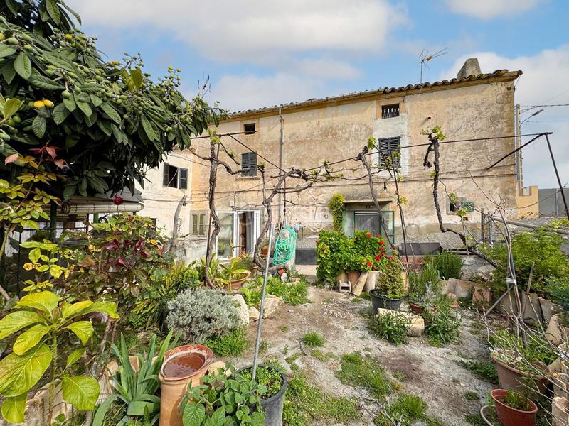 Foto 4e513a73-8094-4d9f-9df5-ffd72de9399c. Casa in Calvià poble Calvià