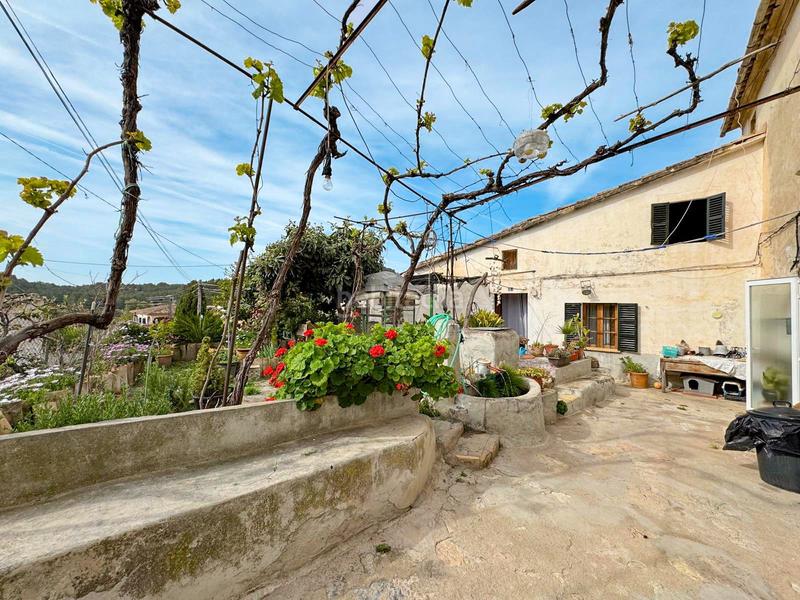 Foto 64e9eb39-2474-49b0-a354-1a827a3f6d46. Casa in Calvià poble Calvià