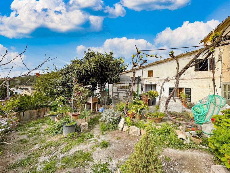 Foto 83df9527-8772-4d36-b778-2c8ba186c0e4. Casa in Calvià poble Calvià