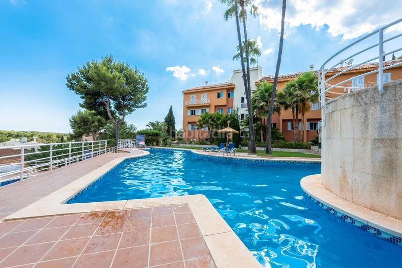 Foto 23ad696f-a167-48f6-83bf-7f604e078ecd. Lloguer apartament amb piscina a Cas Català-Illetes Calvià