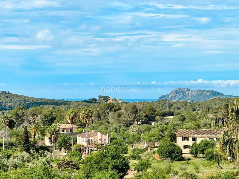 Foto 24f27101-9bf1-4cdf-a0cf-39d14da3eff4. Casa a Calvià poble Calvià