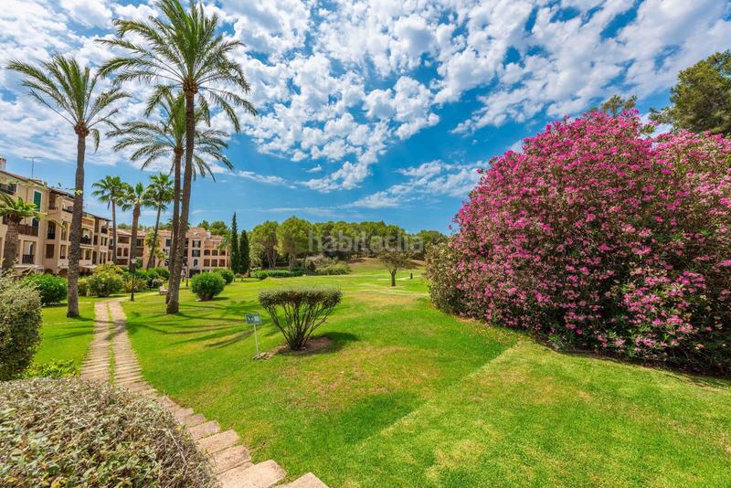 Foto d66b49b1-b992-4eb2-8c19-cc05b564bd03. Attico con piscina in Cas Català-Illetes Calvià