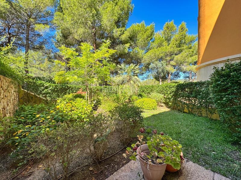 Foto c790e154-3dab-4c3b-84f7-68be2430d655. Apartamento maravillosa planta baja reformada con amplia terraza y jardines privado, en exclusivo complejo de bendinat. piscinas y extensos ja en Calvià
