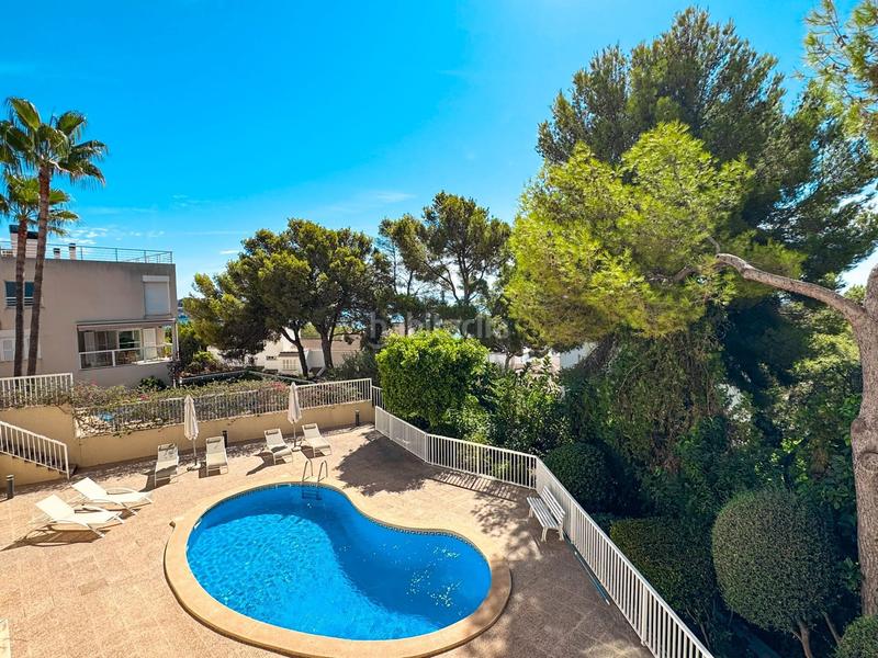 Foto 002ca642-b1f5-4721-be7f-783efd017b43. Alquiler apartamento luminoso y espacioso piso con terraza en complejo de cas catalá. piscina comunitaia. a pocos minutos a pie de la playa y del puert en Calvià