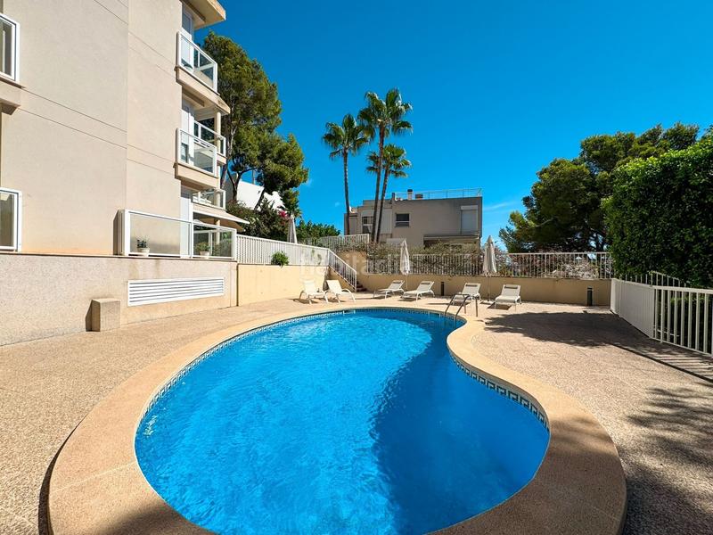 Foto 1c6ac9e4-718d-4afd-9741-178efe90e53e. Alquiler apartamento luminoso y espacioso piso con terraza en complejo de cas catalá. piscina comunitaia. a pocos minutos a pie de la playa y del puert en Calvià