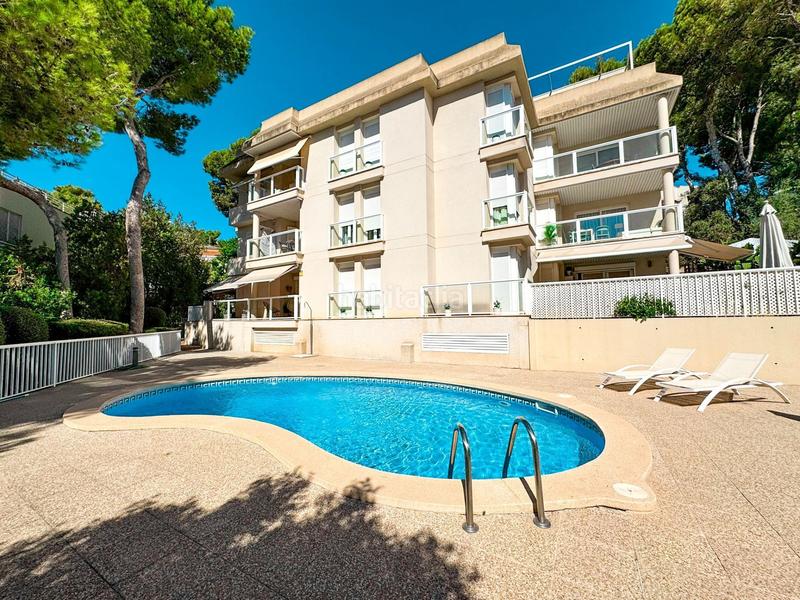 Foto 3b1a3fc8-7cdf-4ac3-8128-d5cbf871a384. Alquiler apartamento luminoso y espacioso piso con terraza en complejo de cas catalá. piscina comunitaia. a pocos minutos a pie de la playa y del puert en Calvià