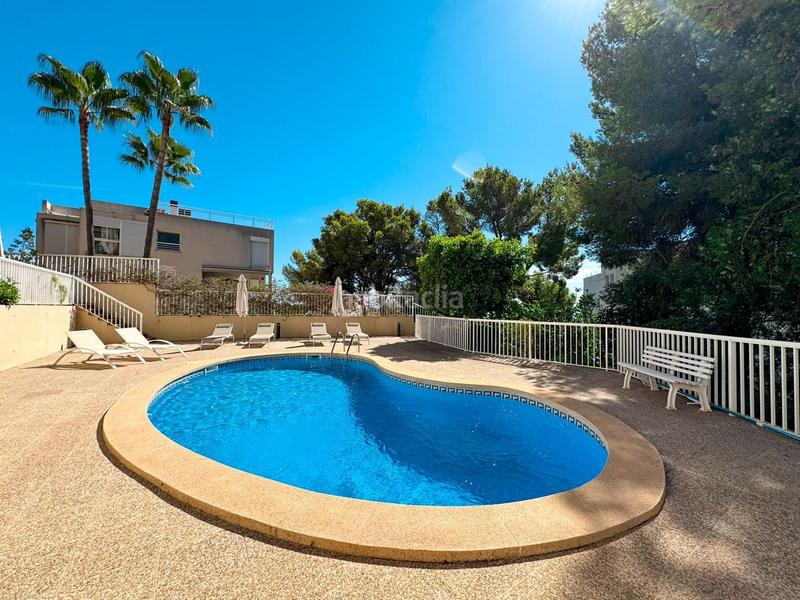 Foto 6451efa4-9873-4039-bb8a-7683bca18700. Alquiler apartamento luminoso y espacioso piso con terraza en complejo de cas catalá. piscina comunitaia. a pocos minutos a pie de la playa y del puert en Calvià