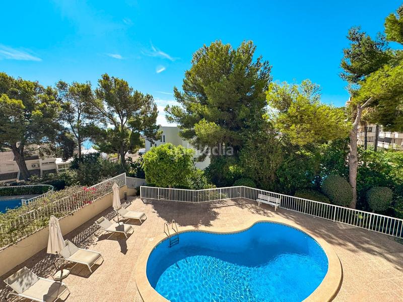 Foto 9a5ab2e0-0493-4d23-9b70-de556ce0bf70. Alquiler apartamento luminoso y espacioso piso con terraza en complejo de cas catalá. piscina comunitaia. a pocos minutos a pie de la playa y del puert en Calvià