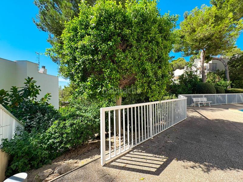 Foto b0c2a220-f654-486a-bd2c-01ea9595caa5. Alquiler apartamento luminoso y espacioso piso con terraza en complejo de cas catalá. piscina comunitaia. a pocos minutos a pie de la playa y del puert en Calvià