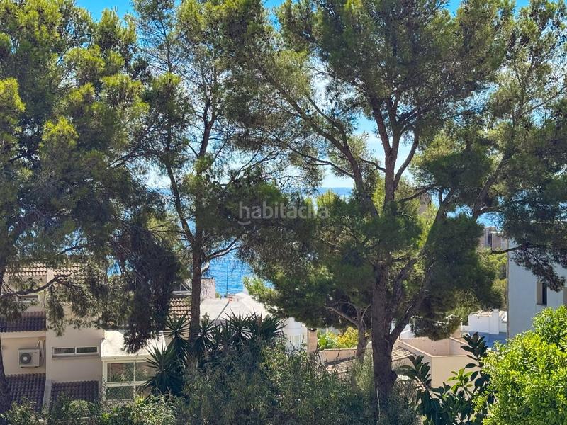 Foto be88a824-95ee-44be-a639-b7cd18f0a76e. Alquiler apartamento luminoso y espacioso piso con terraza en complejo de cas catalá. piscina comunitaia. a pocos minutos a pie de la playa y del puert en Calvià