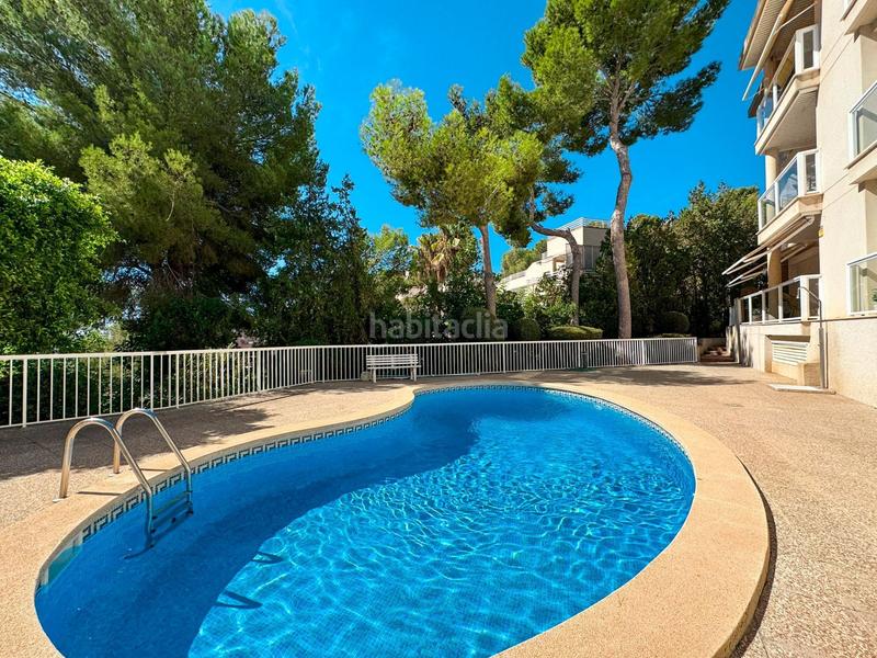 Foto de1b51d2-35c6-416f-9f7a-84785add981d. Alquiler apartamento luminoso y espacioso piso con terraza en complejo de cas catalá. piscina comunitaia. a pocos minutos a pie de la playa y del puert en Calvià
