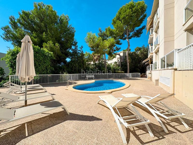 Foto e5bbd6f4-3cce-413d-ac03-0fc539b62d0e. Alquiler apartamento luminoso y espacioso piso con terraza en complejo de cas catalá. piscina comunitaia. a pocos minutos a pie de la playa y del puert en Calvià