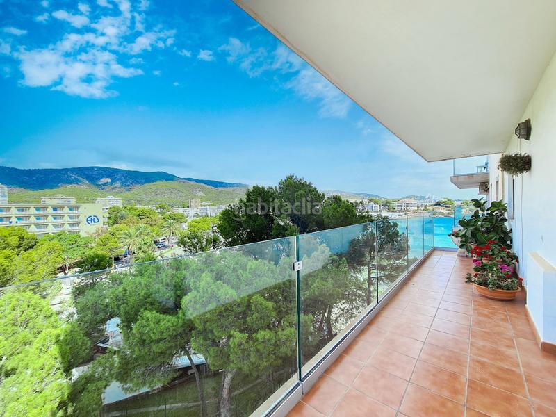 Foto 000d337b-b9af-4dc0-8041-45f1a47ab2bd. Piccolo appartamento in Palmanova Calvià