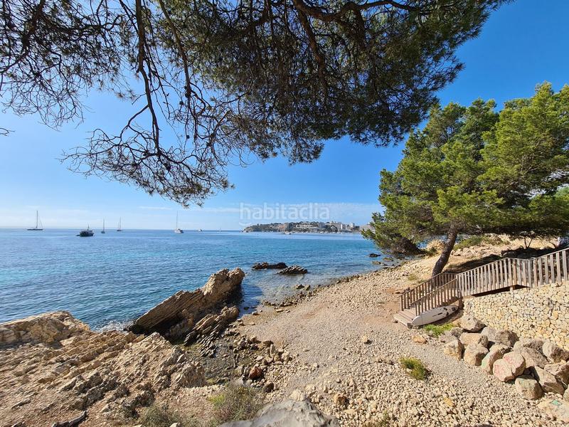 Foto 018218a5-5c4d-4428-bc20-de940c874dcf. Piccolo appartamento in Palmanova Calvià