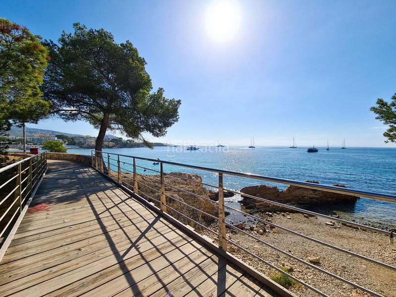 Foto 0dc8b635-1a64-41ac-b3e5-dd6d845b6a5f. Piccolo appartamento in Palmanova Calvià